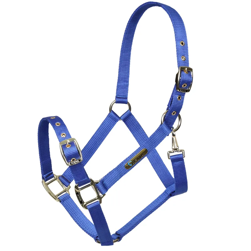 Shires Arma Adjustable Headcollar - Blue